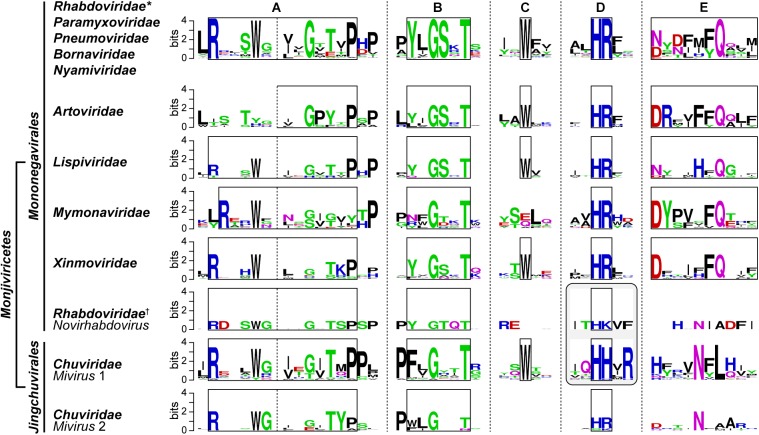 FIGURE 12