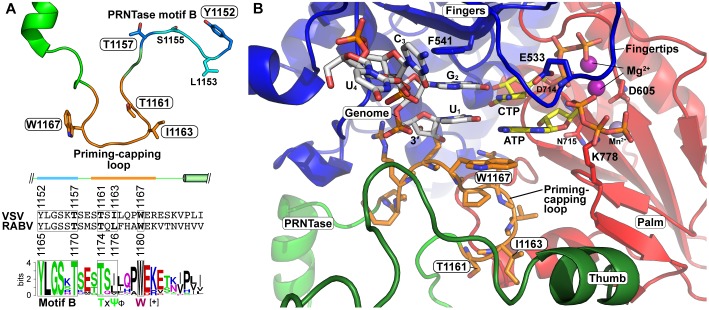 FIGURE 10