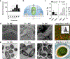 Fig. 4 |
