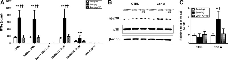 FIG. 5.