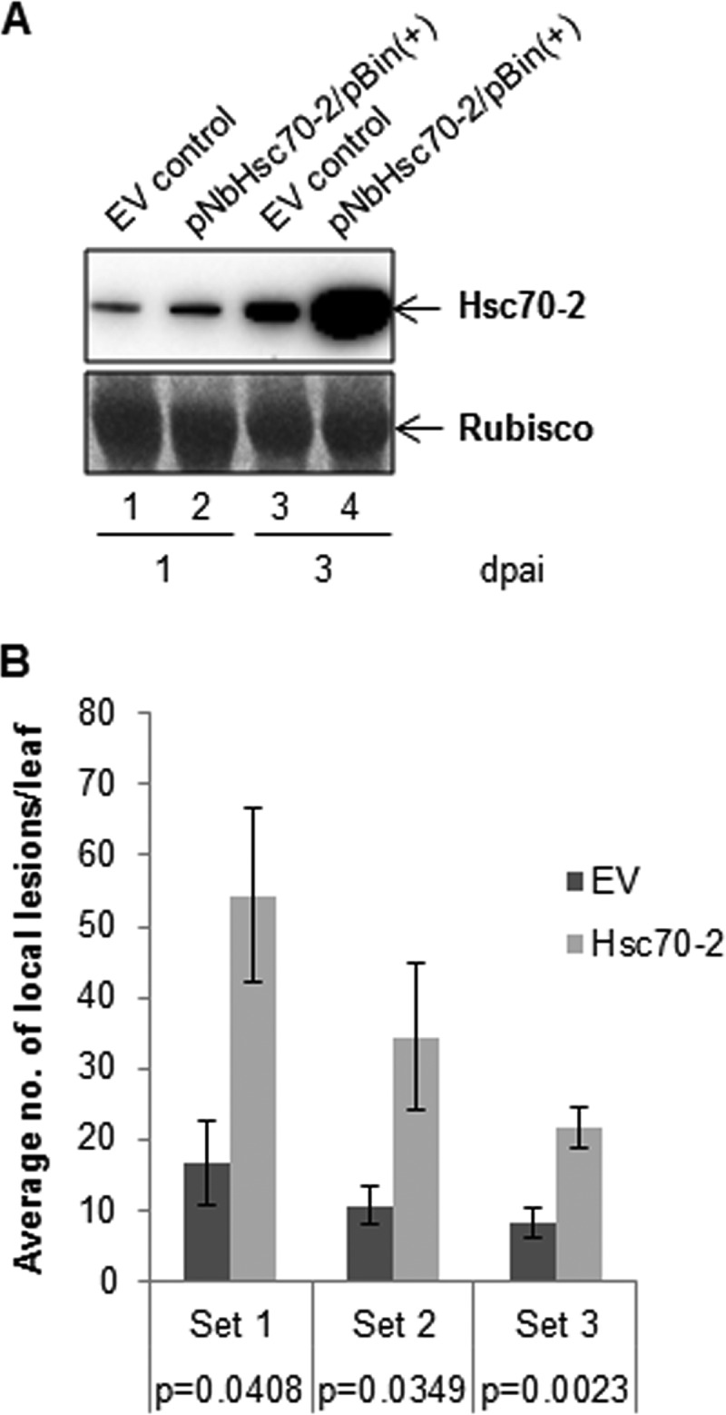 FIG 7