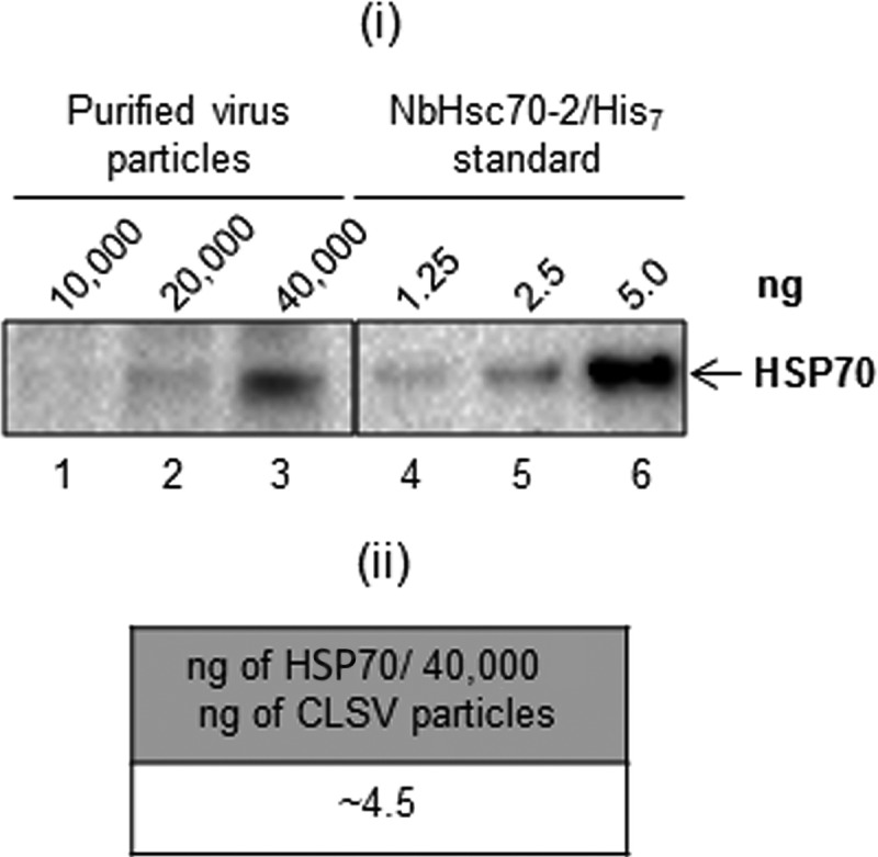 FIG 2