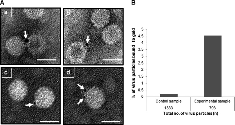 FIG 4