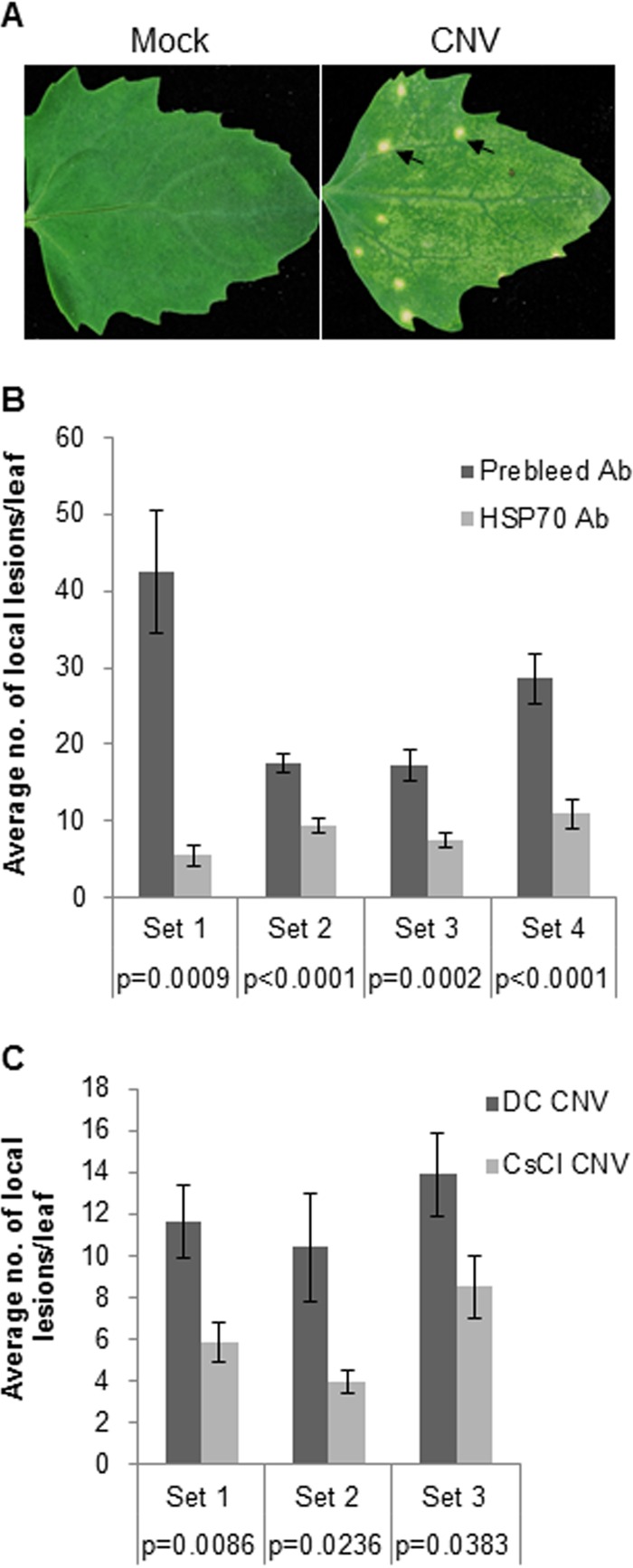 FIG 6