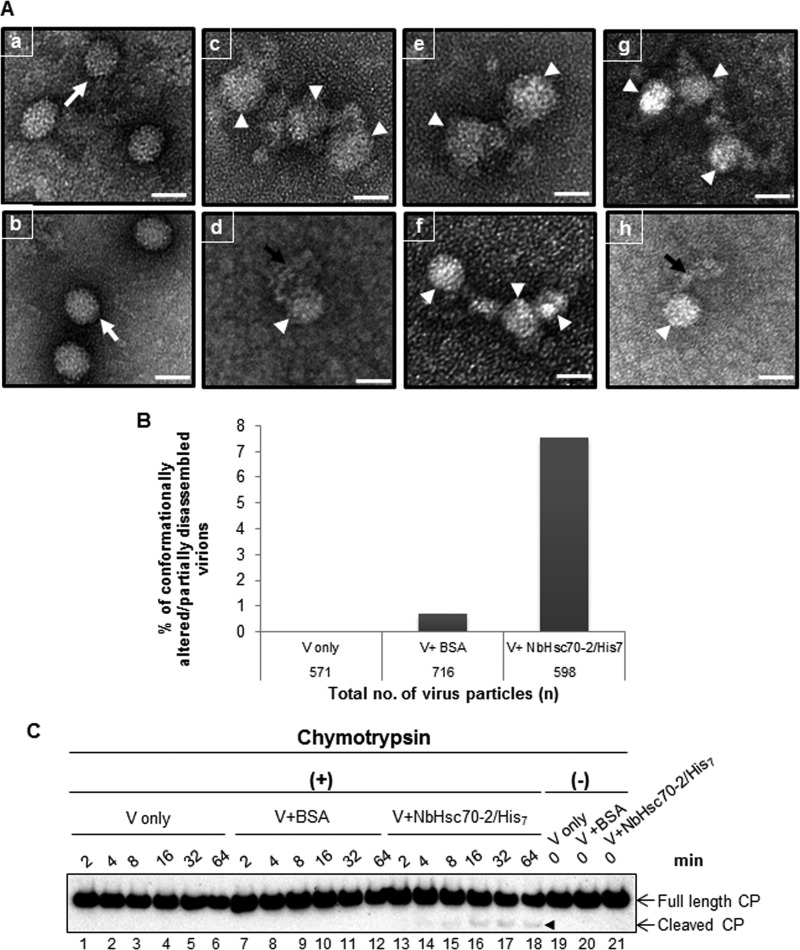 FIG 9