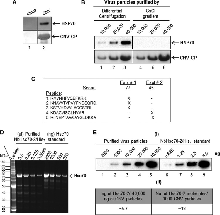 FIG 1