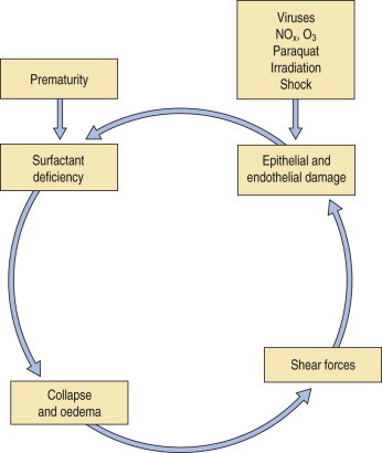 Figure 4.1