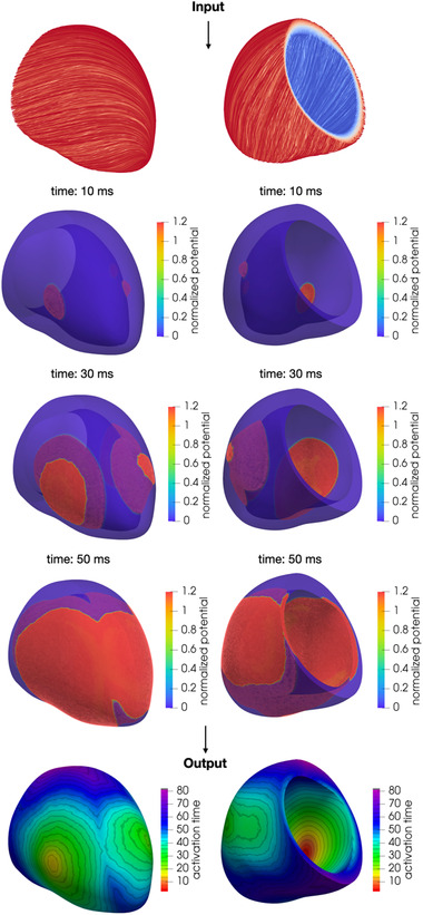 FIGURE 4