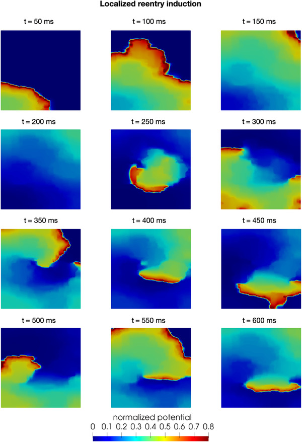 FIGURE 6