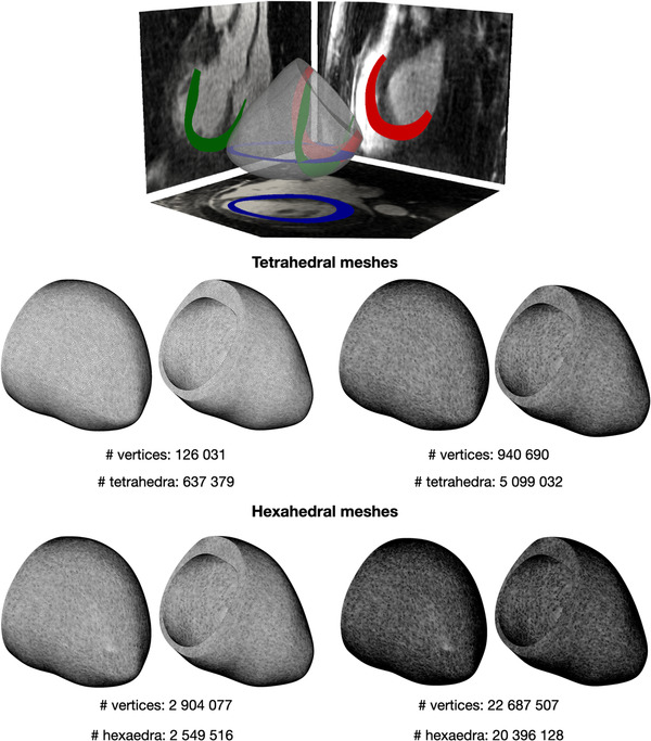 FIGURE 2