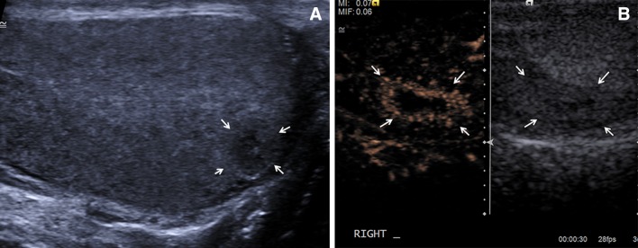 Fig. 4