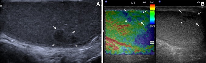 Fig. 3