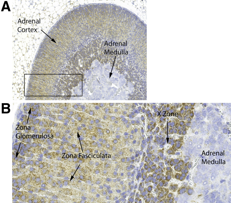 Figure 6