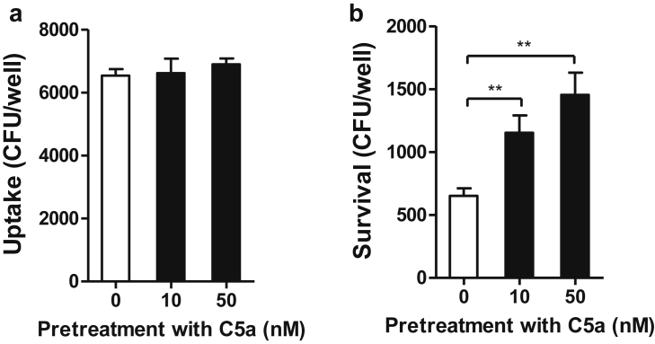 Figure 7