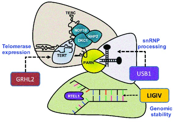 Figure 5.