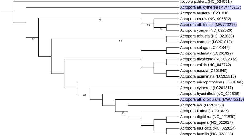 Figure 2.