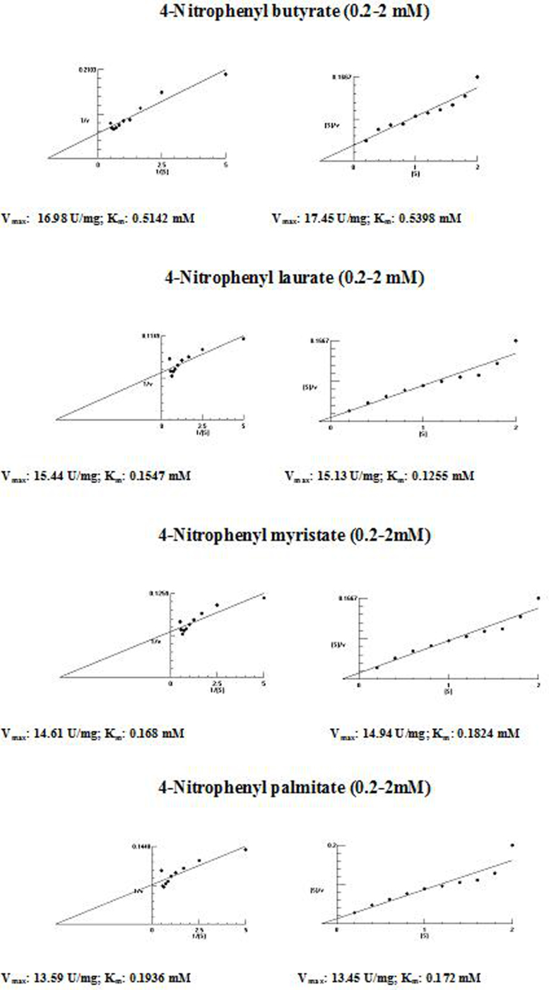 Supplemental Fig. S6