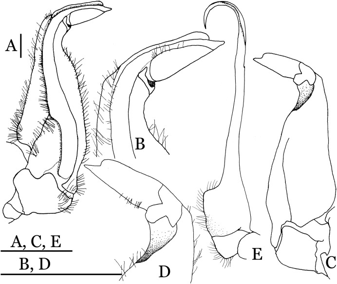 Figure 17