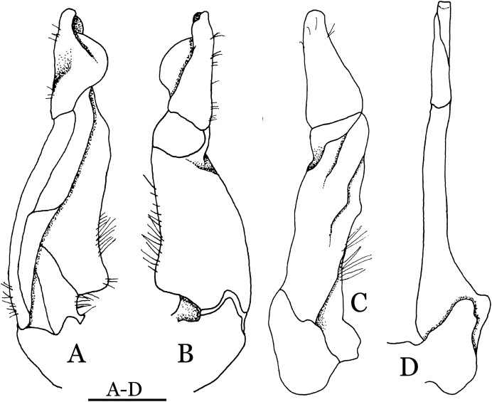 Figure 22