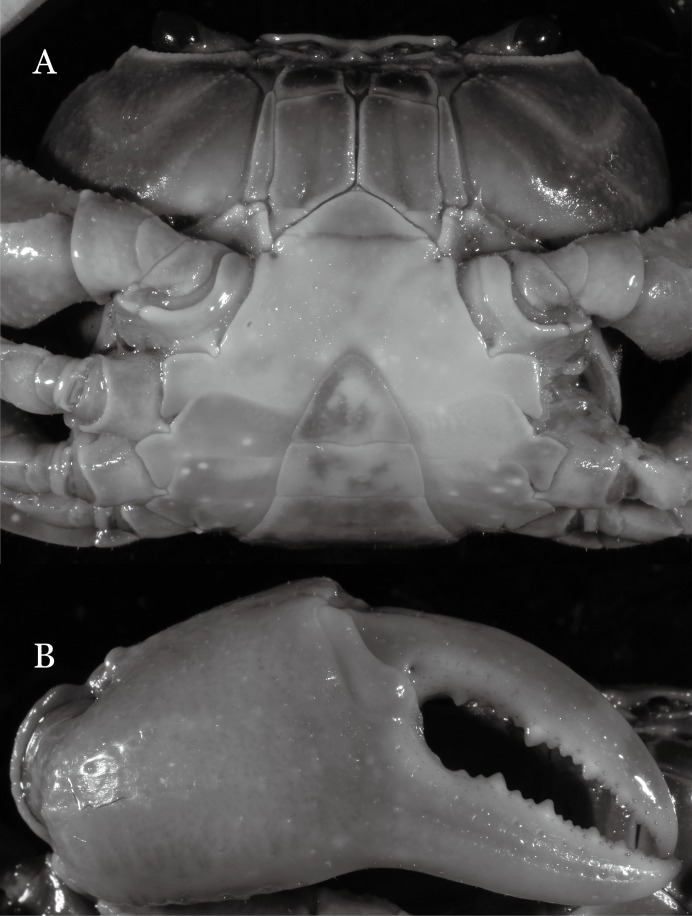 Figure 25