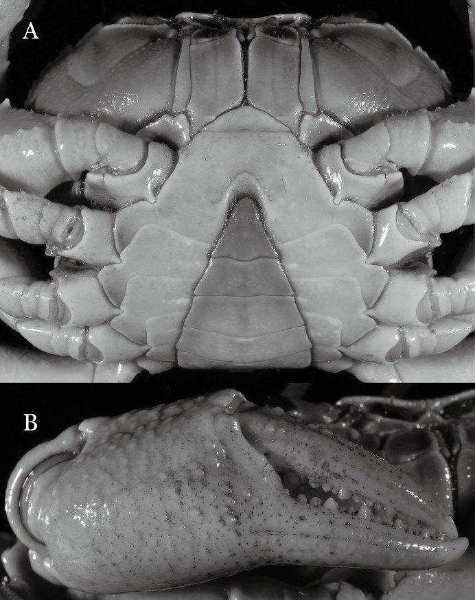 Figure 16