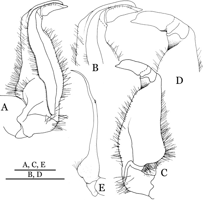 Figure 13