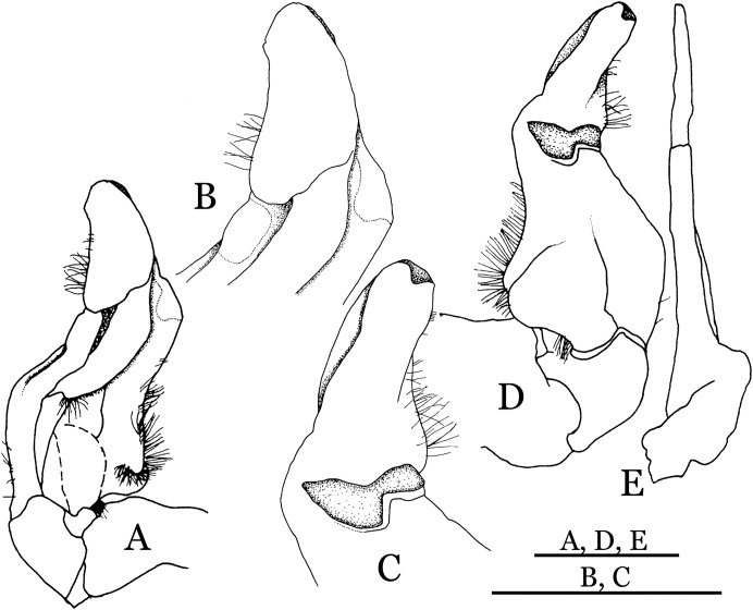 Figure 33