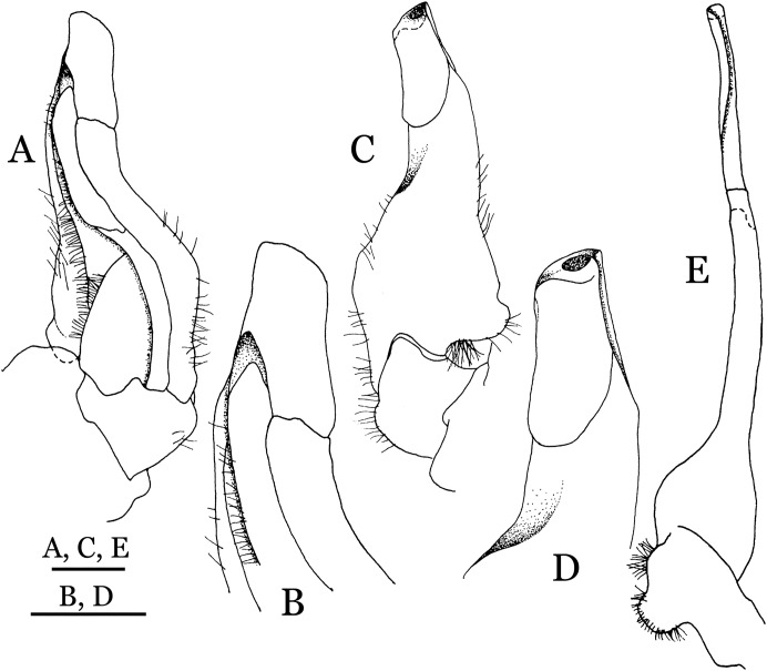 Figure 30