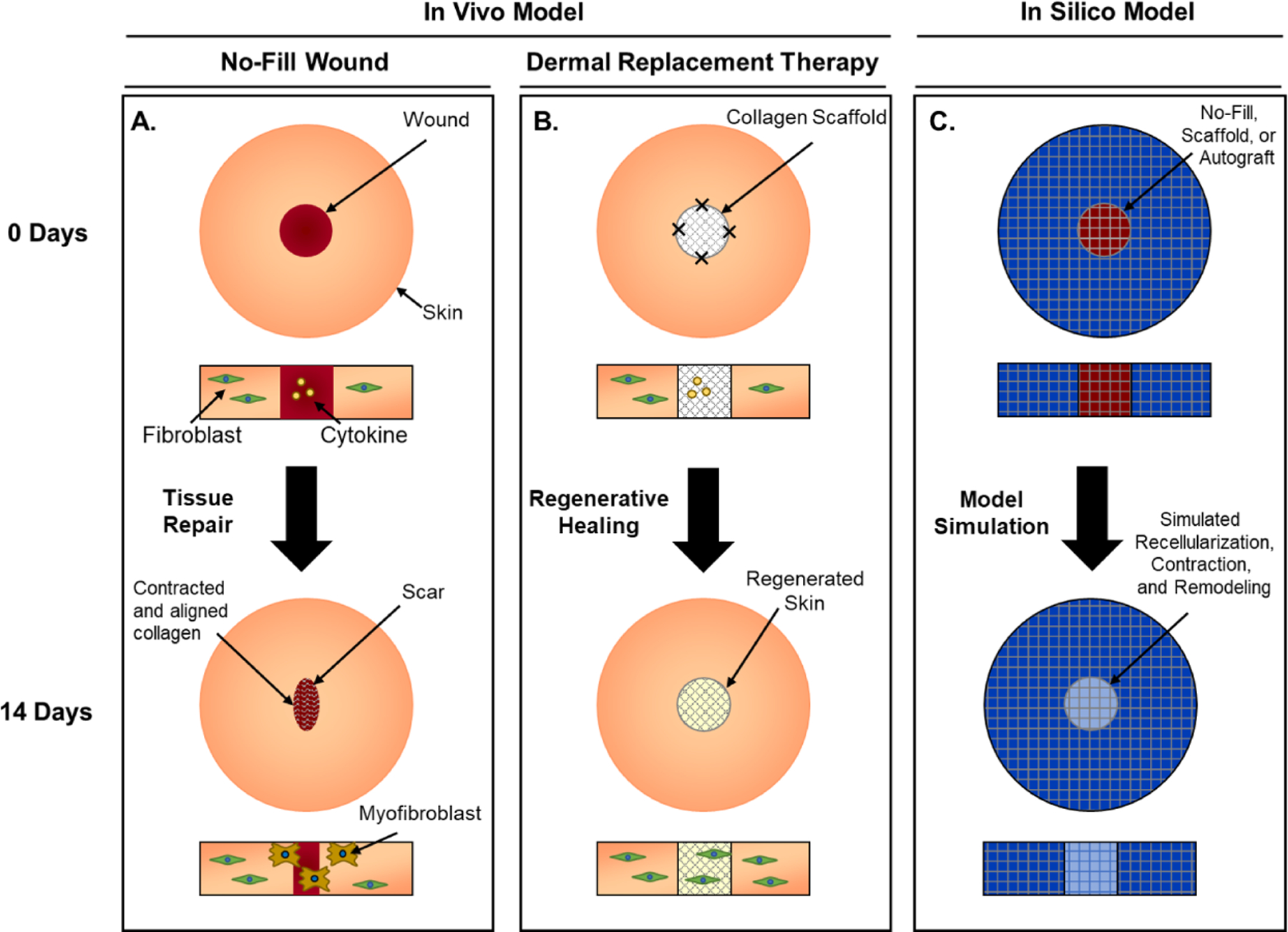 Figure 1: