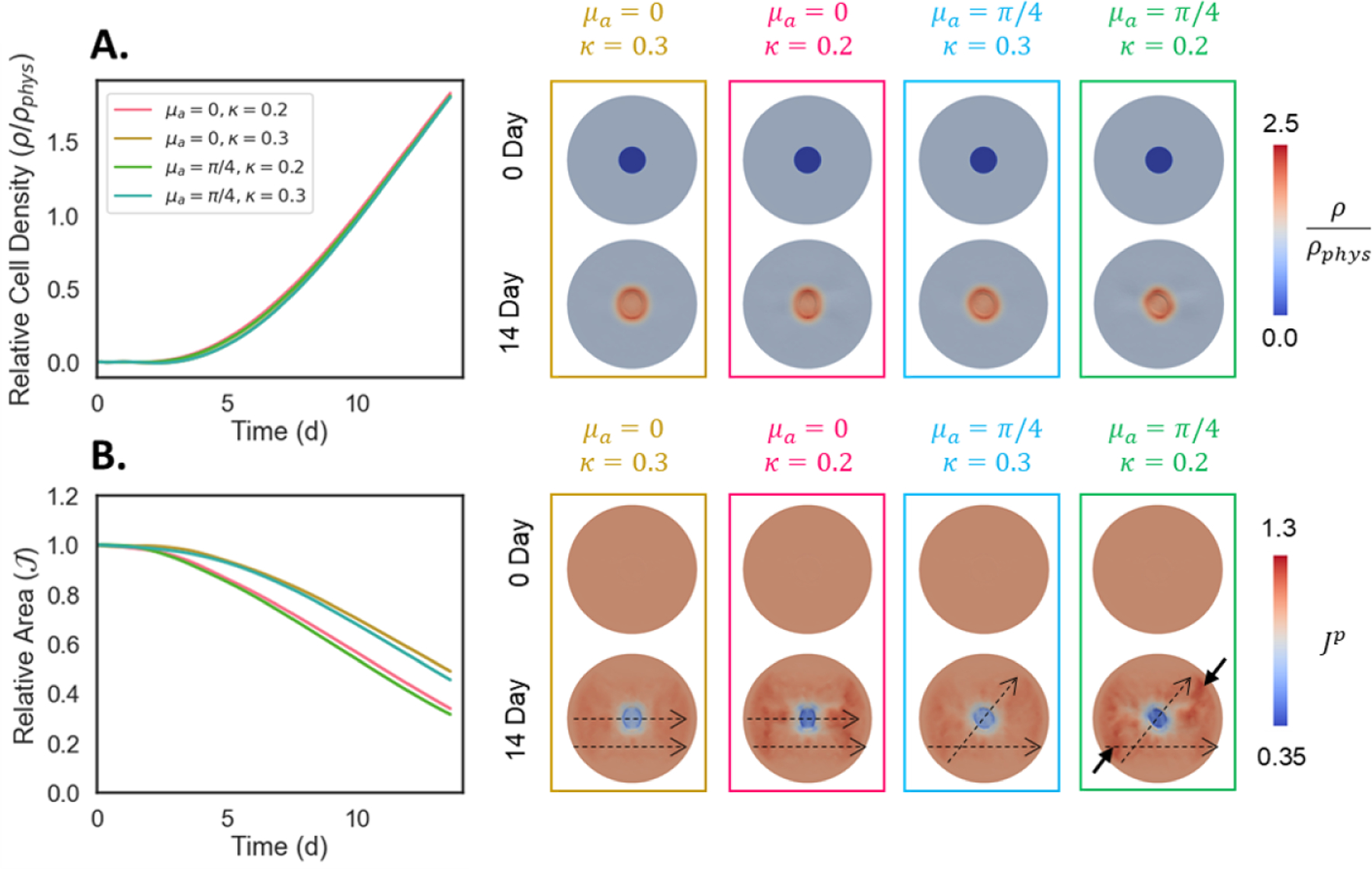 Figure 9: