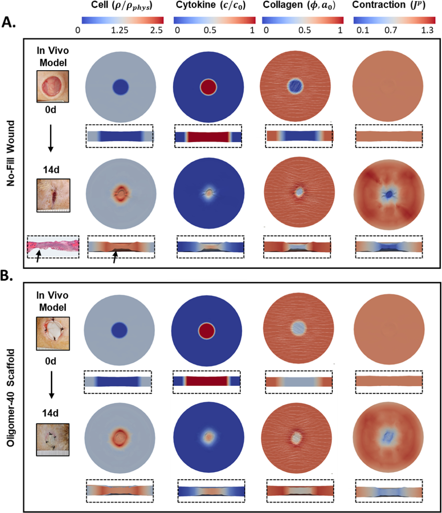 Figure 5: