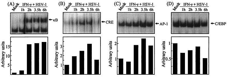 FIG. 4