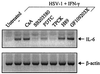 FIG. 6