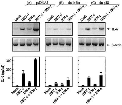 FIG. 7