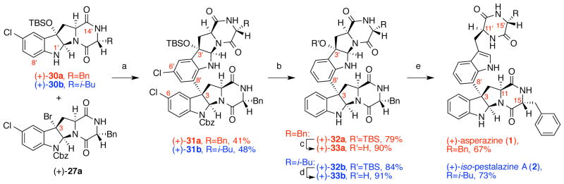 Scheme 6