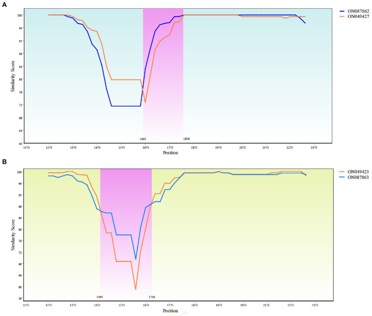 Figure 10