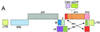 FIG. 1