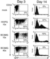 FIG. 10