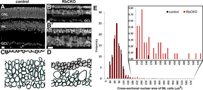 FIGURE 2: