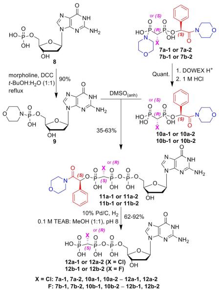 Scheme 2