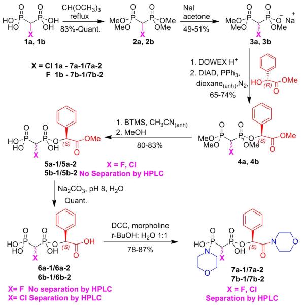 Scheme 1