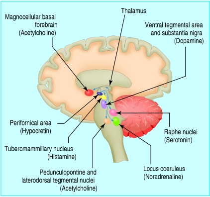 Fig 2