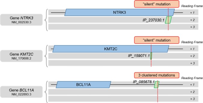 Figure 6.