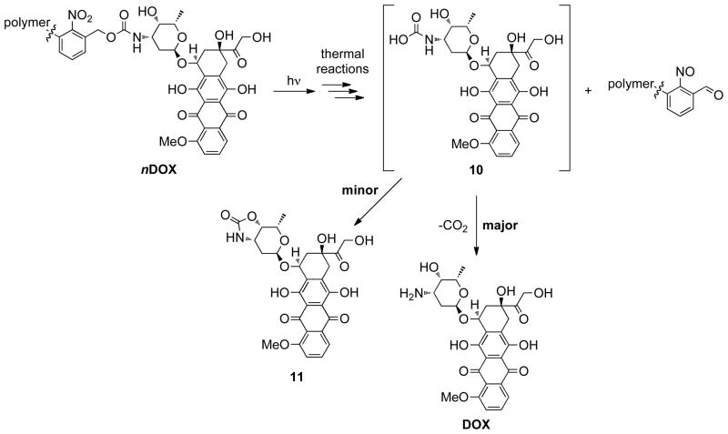 Scheme 5