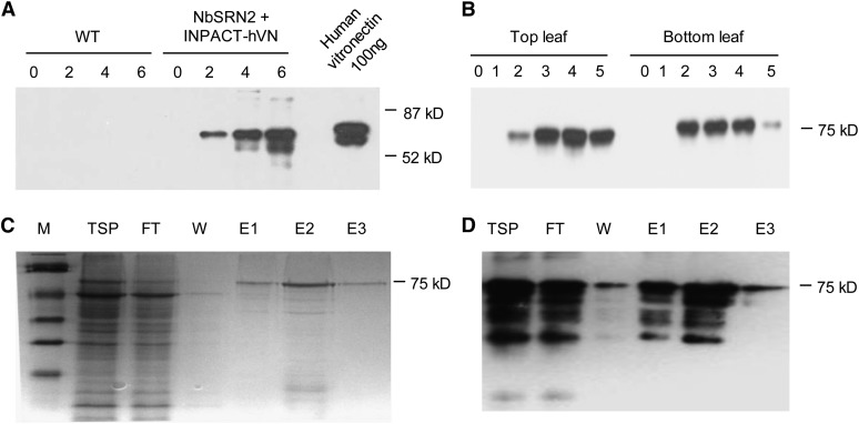 Figure 13.