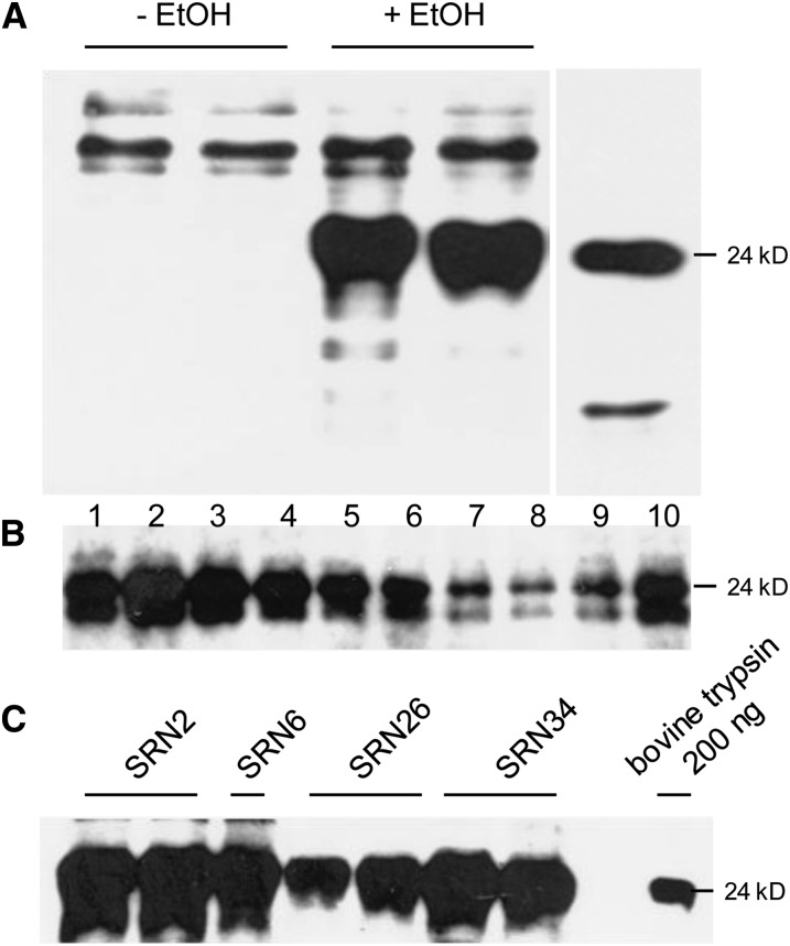 Figure 12.