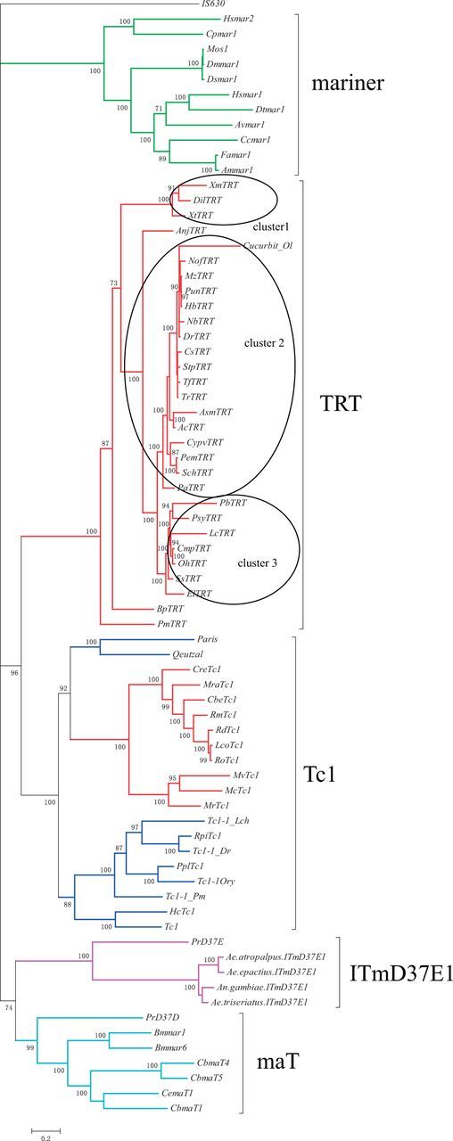 Fig. 3.—