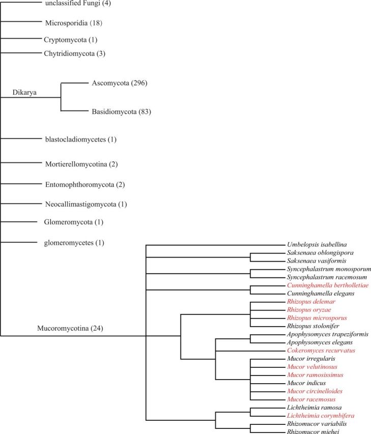 Fig. 4.—