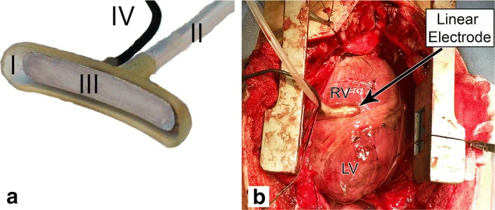 Fig. 2