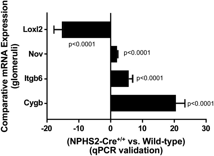 Fig. 8.